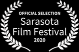 Driven to Abstraction - Documentary Film Award Sarasota Film Festival